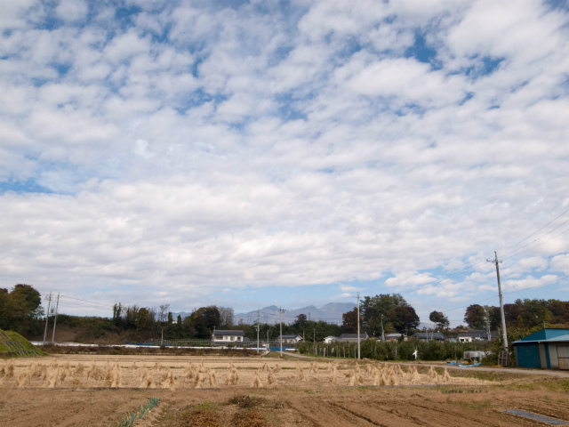 0362-201411_saku01