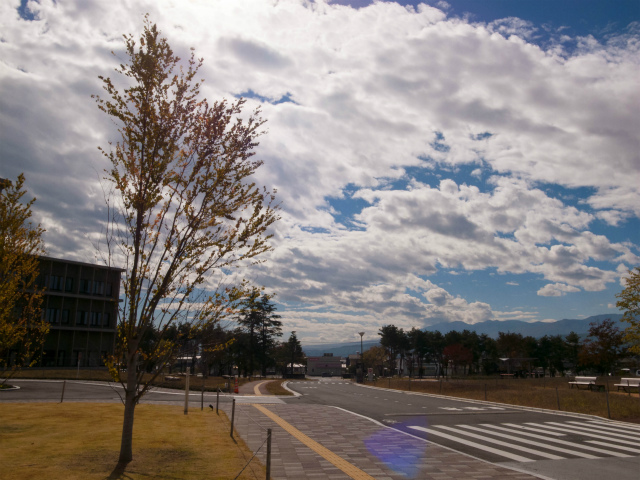0362-201411_saku02