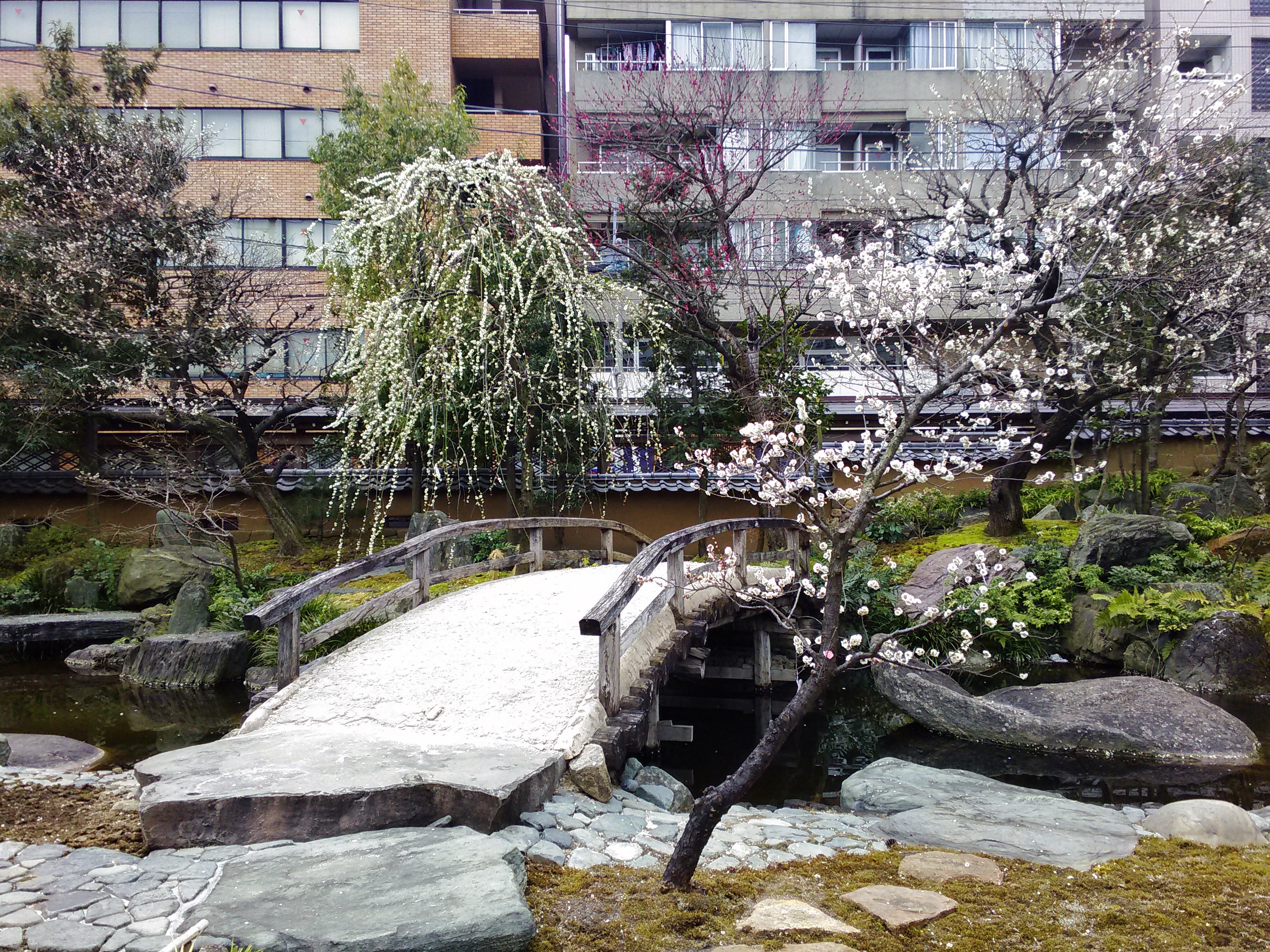 0717-201503_Zenfone 5 Photo 01