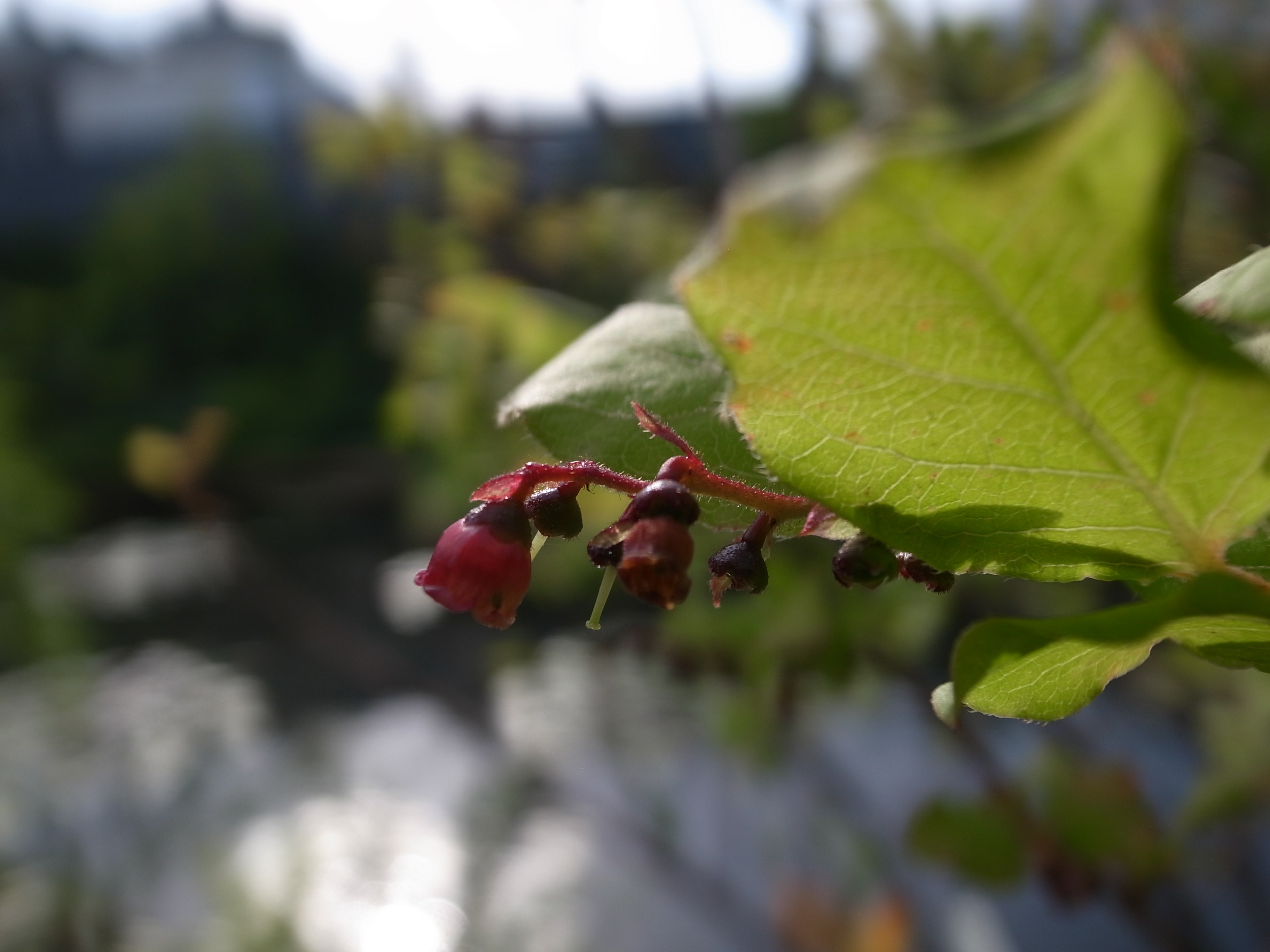 0804-201505_Photo 01