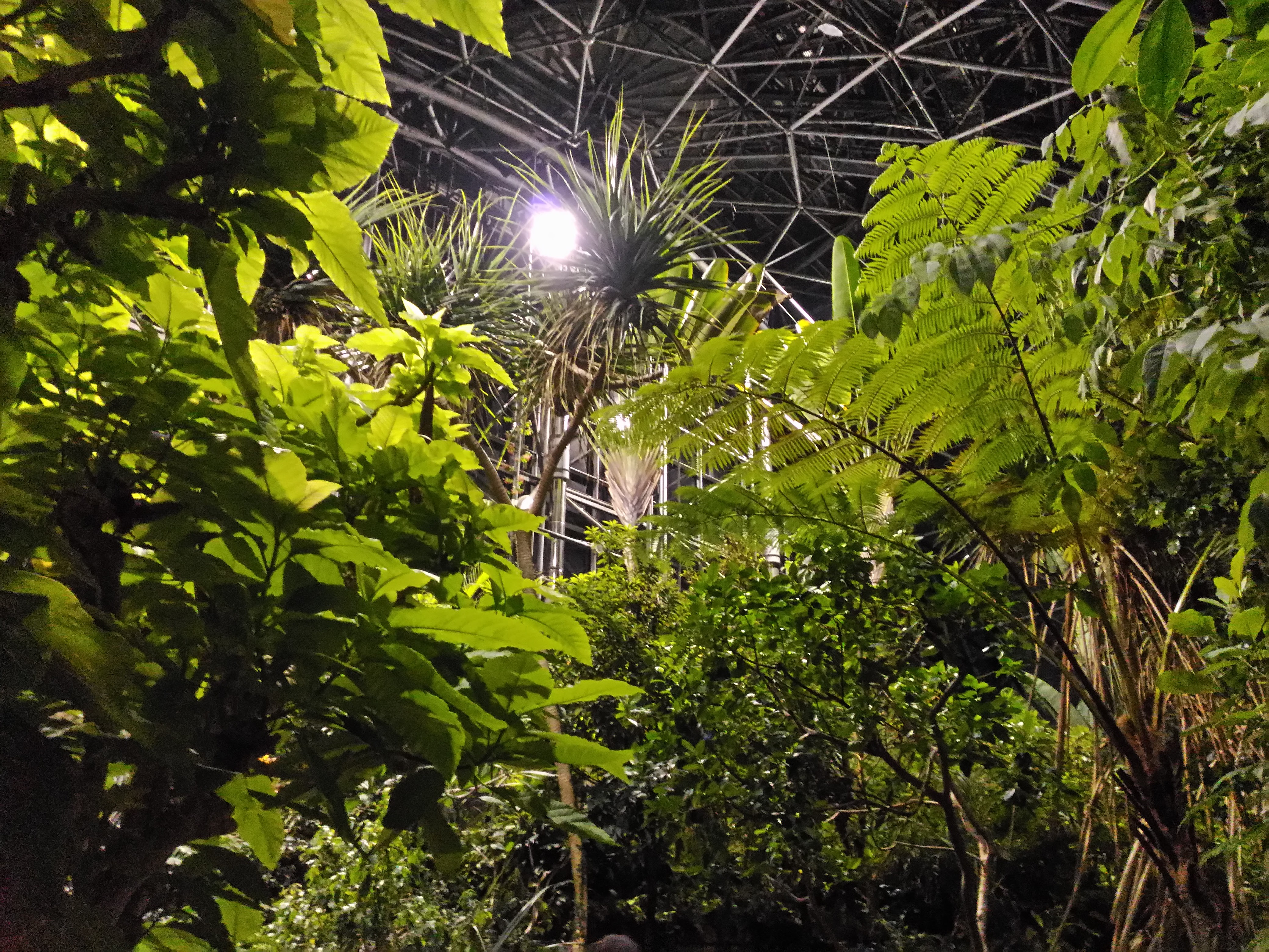 0980-201508_Yumenoshima Tropical Greenhouse Dome 06
