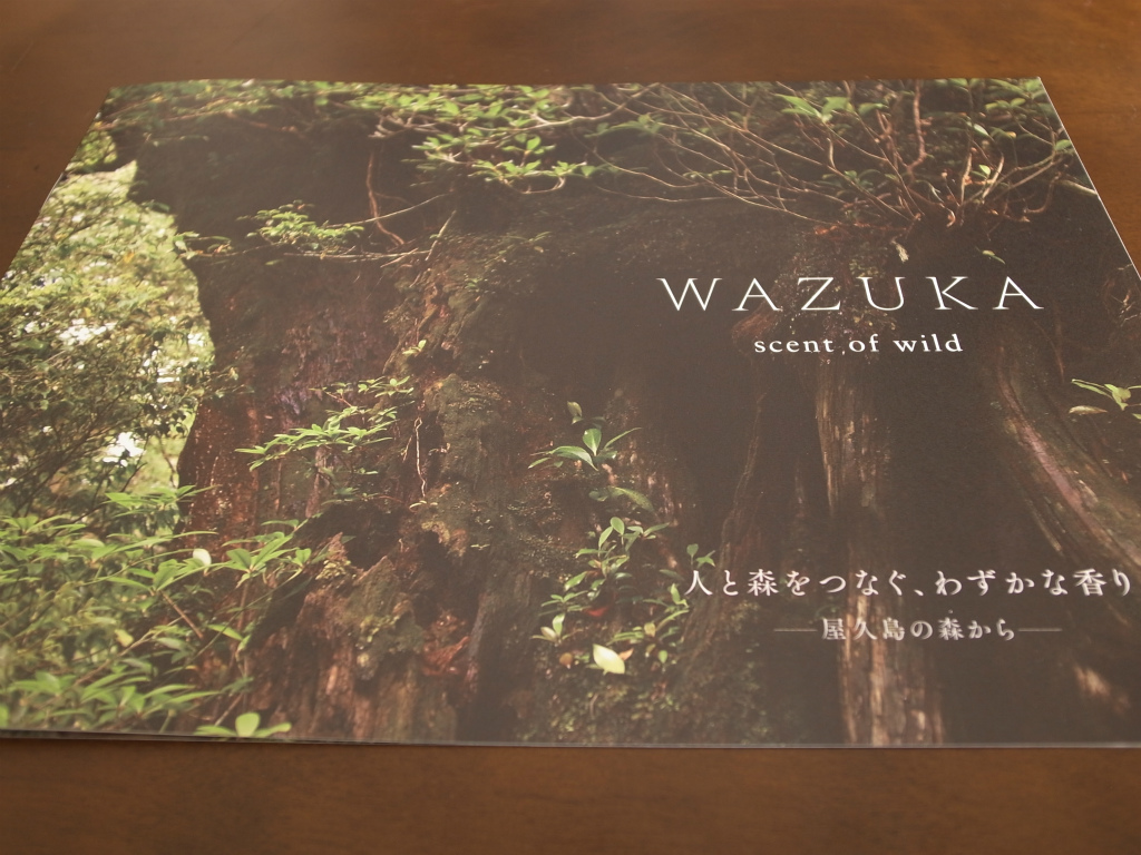 1122-201512_akyrise WAZUKA 06