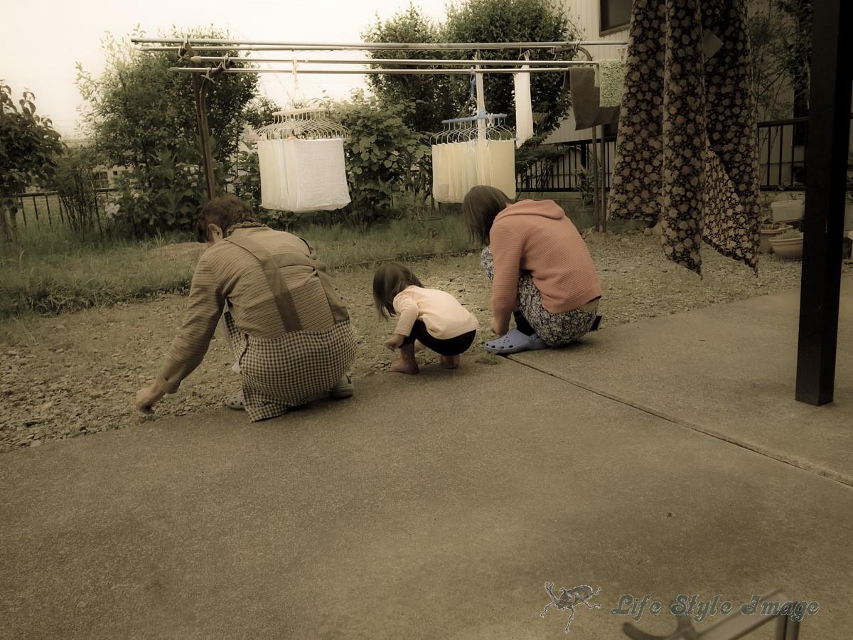 私の家族の写真