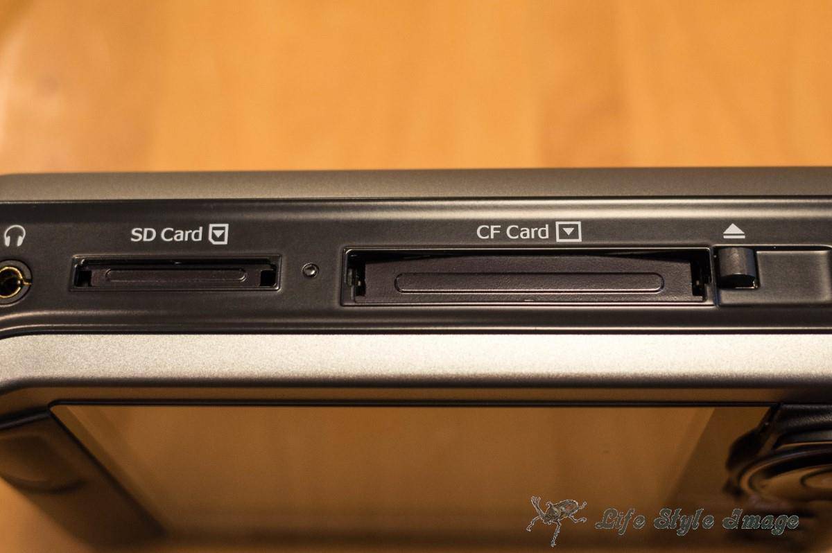 EPSON P-3000